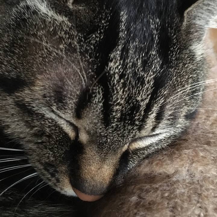 A6bb2205 f9e2 401a 9cab 957e4485af96 1549700902520