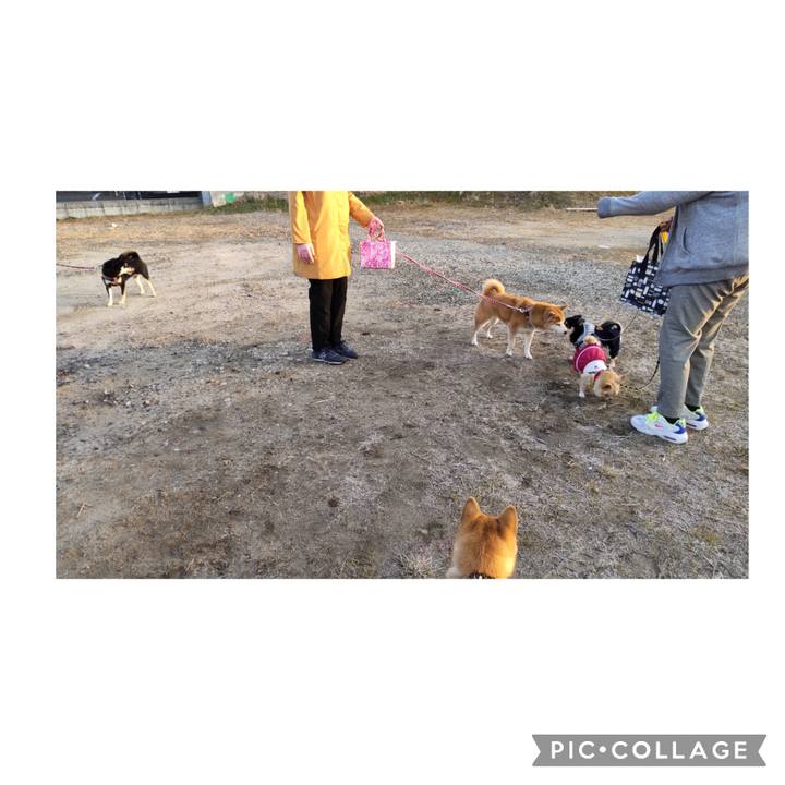 A6bb4c5e 04aa 416c 9047 2893e85555ea 1672615923104