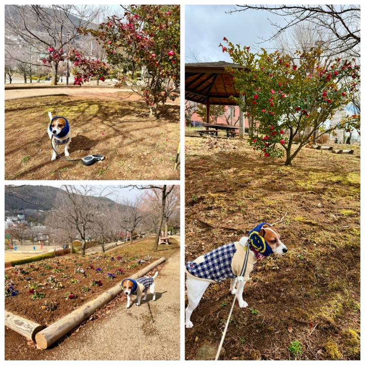 A6bb507b b5a8 444a 80c2 90e0d0899941 1772611093701