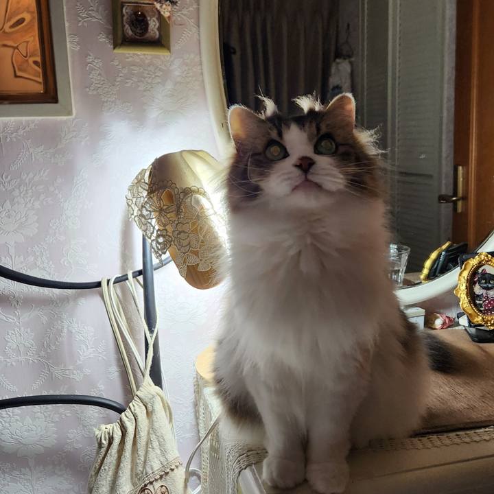 A6bb610f ed5a 49e1 b628 480d157fad99 1751805143687