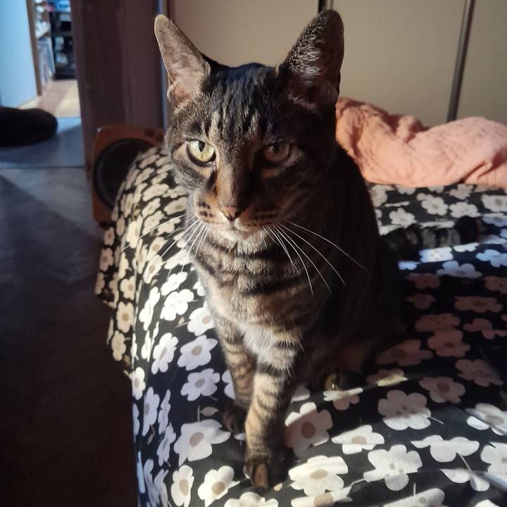 A6bbbd44 09e9 44d6 afae d55ad027e421 1766710906354