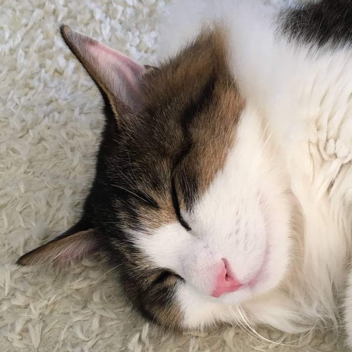 A6bbe8a9 ad38 4f9d 9a89 398bcdf93bfb 1515041488116