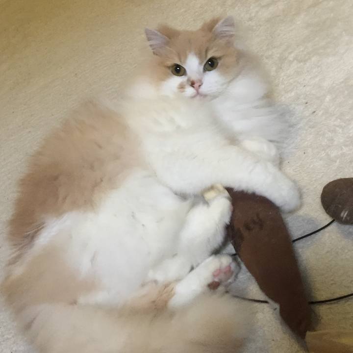 A6bca3e5 e264 4329 8ed5 9aa6bf602e01 1526796297722