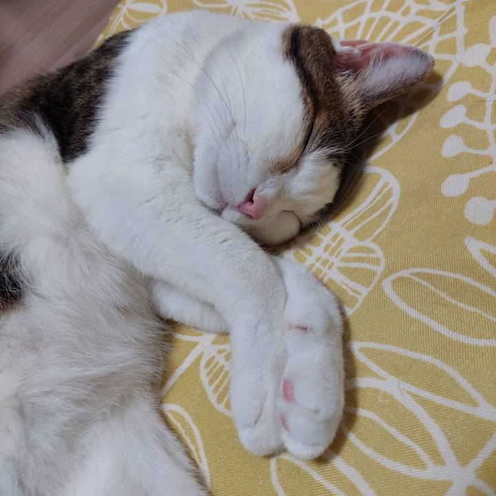 A6bcae2a 5d3f 4d39 9973 efd848a4e6e3 1749726245881