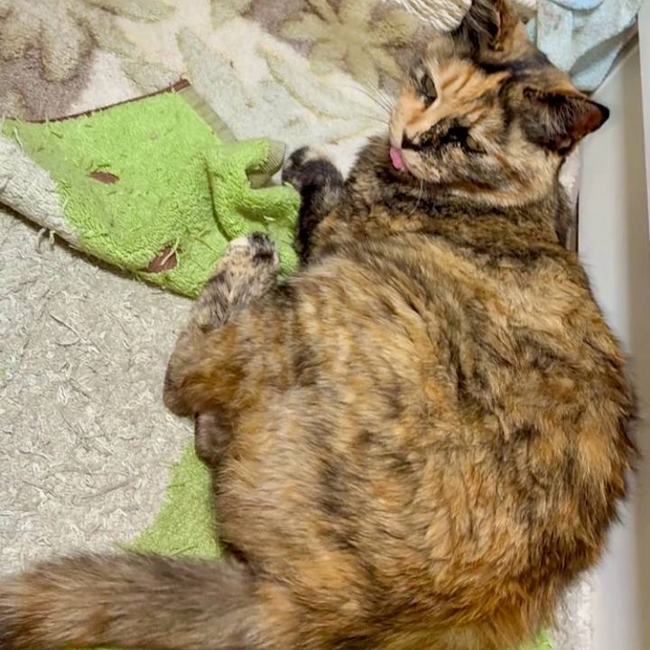 A6bcc70a e20c 4782 ae5d af35452c36cd 1746178698837