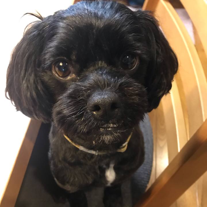 A6bcd962 c493 439b b958 04bb70eb057e 1562148524801