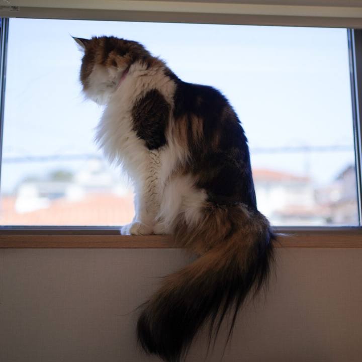 A6bcdc58 83d7 4401 8d05 7a74bccc353d 1584590489879