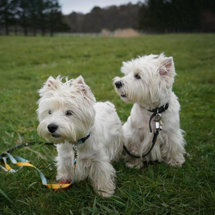 A6bd1ef6 c53d 4a76 80cc 72646bd1cac1 1525146996668