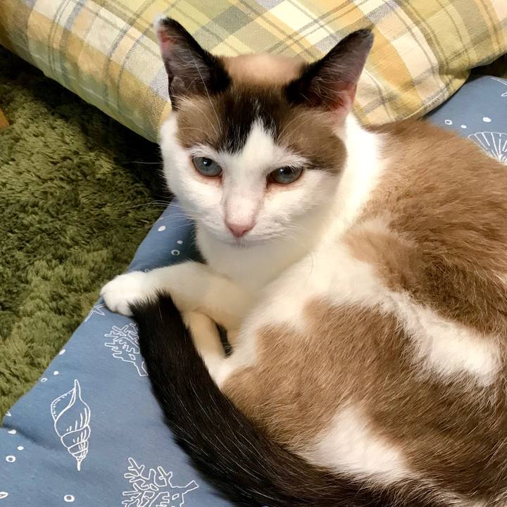 A6bd3735 1f71 4008 b09a 5f3e749d2374 1563071660669