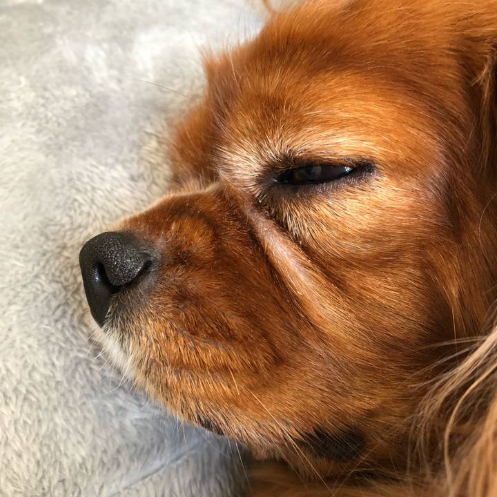 A6bd3cd0 6e8b 4210 b205 c14903a72fe6 1636255507765