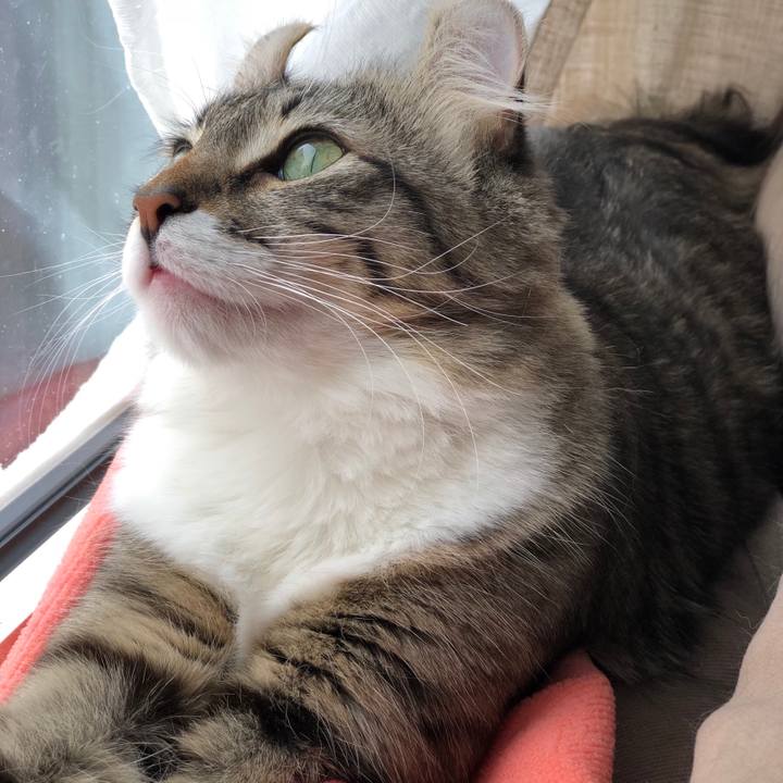 A6bd9793 3426 41f3 b59f 7451b35c1f07 1516936357004