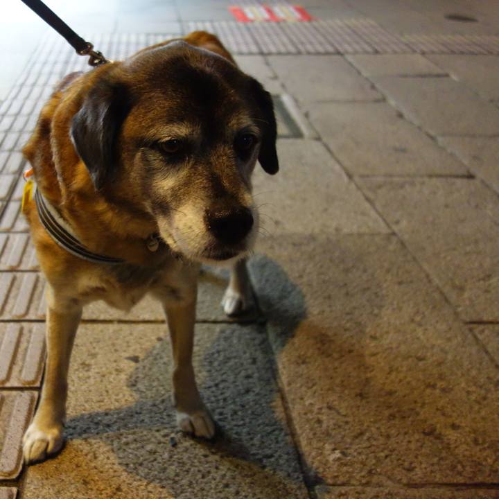 A6bd9f8b 2b6d 46a5 bd5d 69959e16b97e 1549882308599