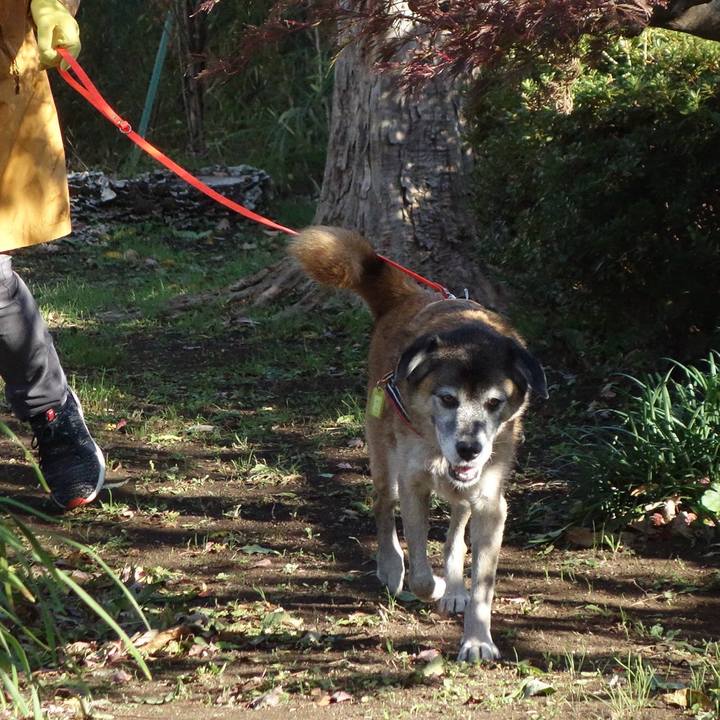 A6bdcd0b e45f 45b4 bc7e 262f36ed8b42 1574295715289