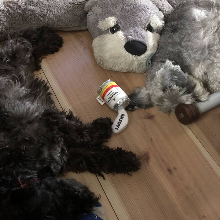 A6bde2d3 afee 4343 8e16 f1ff5005ca0c 1567397824161