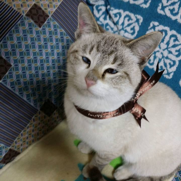 A6bde9f3 b4d5 4e2c 9d87 e790c7444761 1515062809201