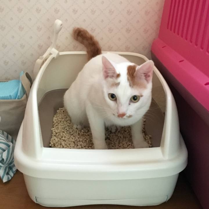 A6bdfcb7 724b 4db0 9179 eb94ff04a385 1522472428718