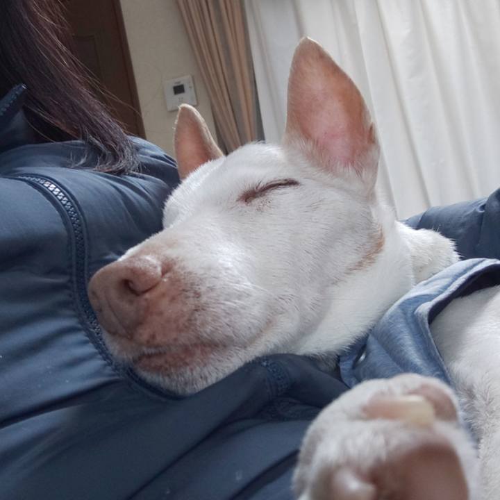 A6be0b87 dccd 4288 9002 1eb46b500c92 1584679766351