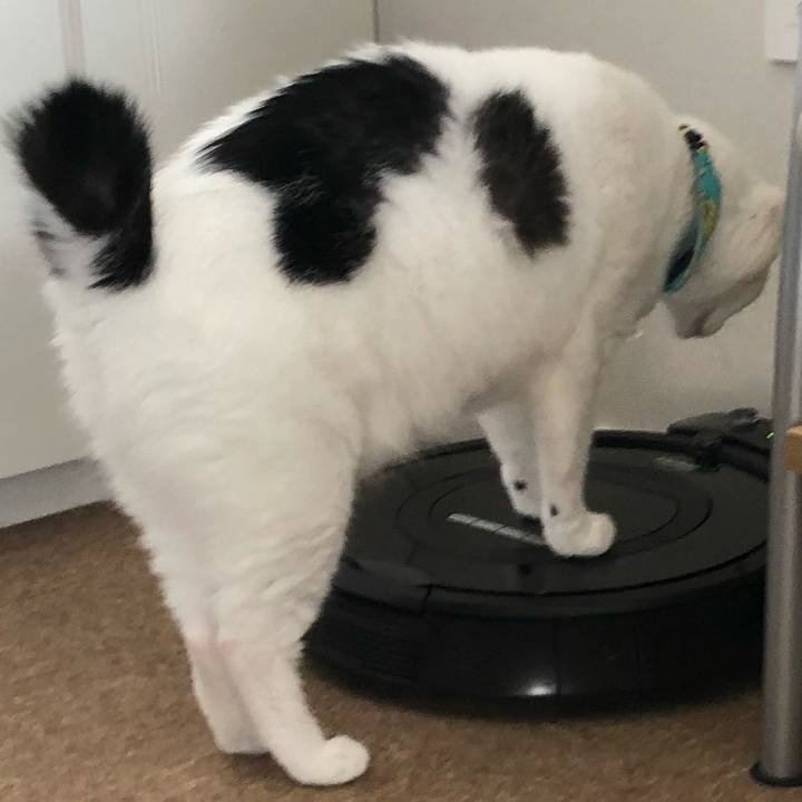 A6be13dd 9fb7 4971 9c10 e667b0dc8816 1534499756755