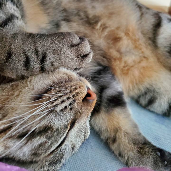 A6be4bd1 119b 4b0f bced 87a05a1a46b6 1704898860627