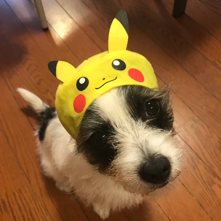 A6be50f6 ed4d 4cfa a7ca 4fbd451f910c 1549851115330