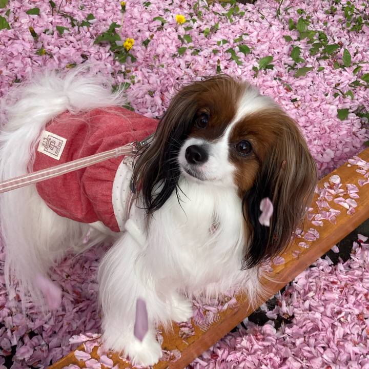 A6be6401 b3c9 459a a758 8a8586b75649 1652519575907