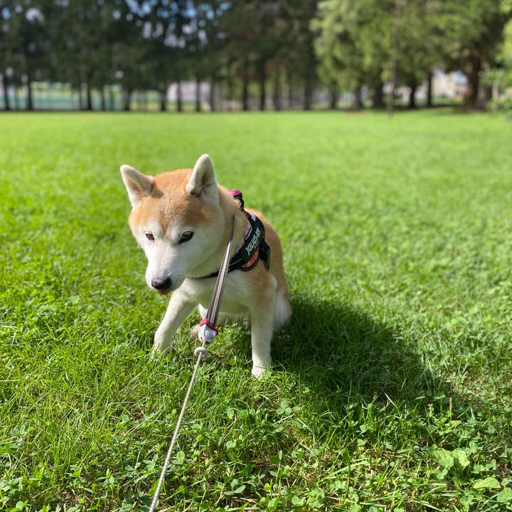 A6be69bb fcfc 4983 b293 3ce3ff0cb24a 1725513056706