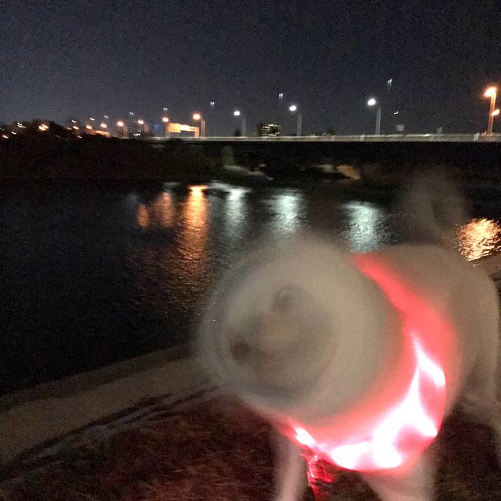 A6be73bc 1629 47e1 9fa8 acc810f1f944 1516802942596