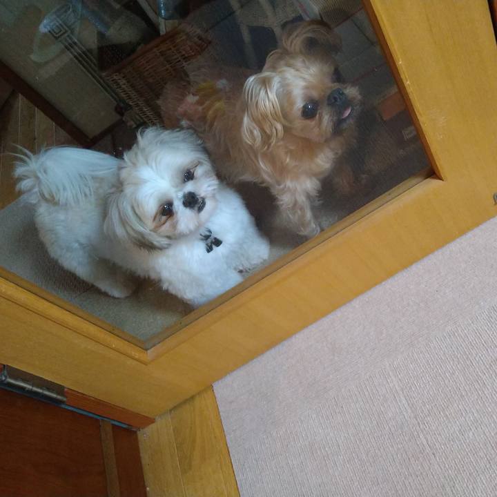 A6be9c70 2a45 4c79 9d1f 80a316376d19 1613517453013