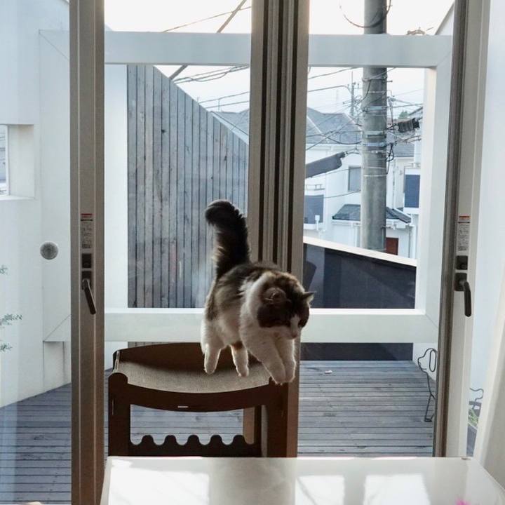 A6bf1a08 77d6 4886 a078 2be7414e0310 1568732640848