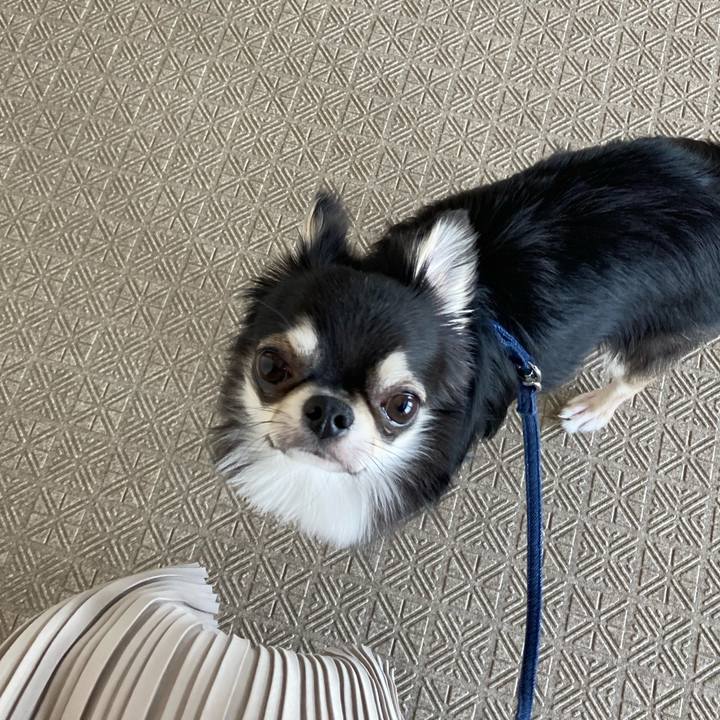 A6bf33c4 79ba 4a85 bfb1 761310bad515 1620447235509