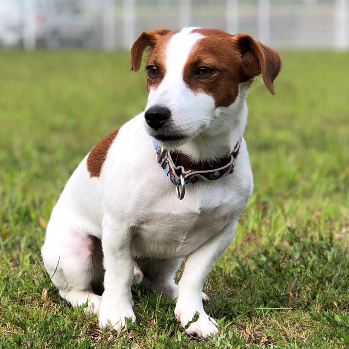 A6bf5eee a415 46d9 b3ec f5db04e917d4 1539159669581