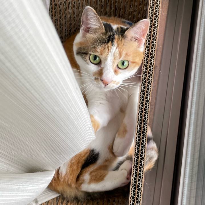 A6bf97fa 3547 4fcc 9f6f 5305960098ff 1717917068972