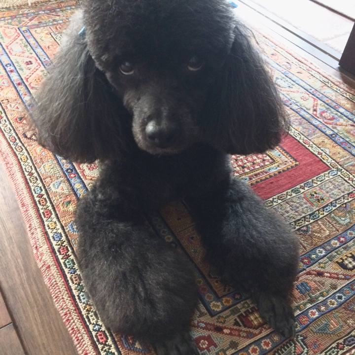 A6bfb4e0 7c3a 4b35 a367 e4c2791019d8 1526020039763