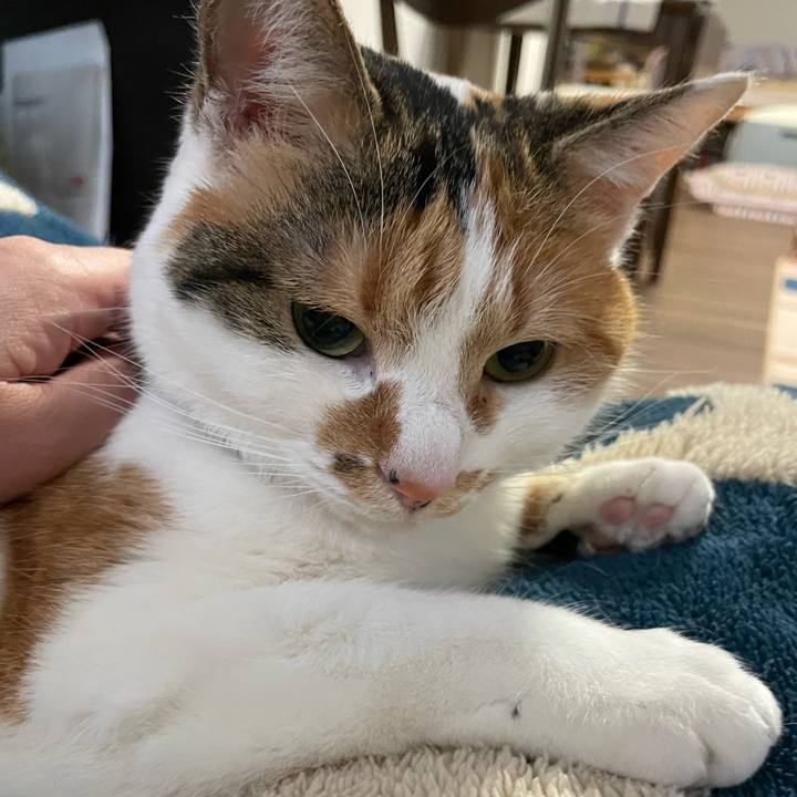 A6bfce02 98b8 44ad b9b0 12be36f25b35 1707089536313