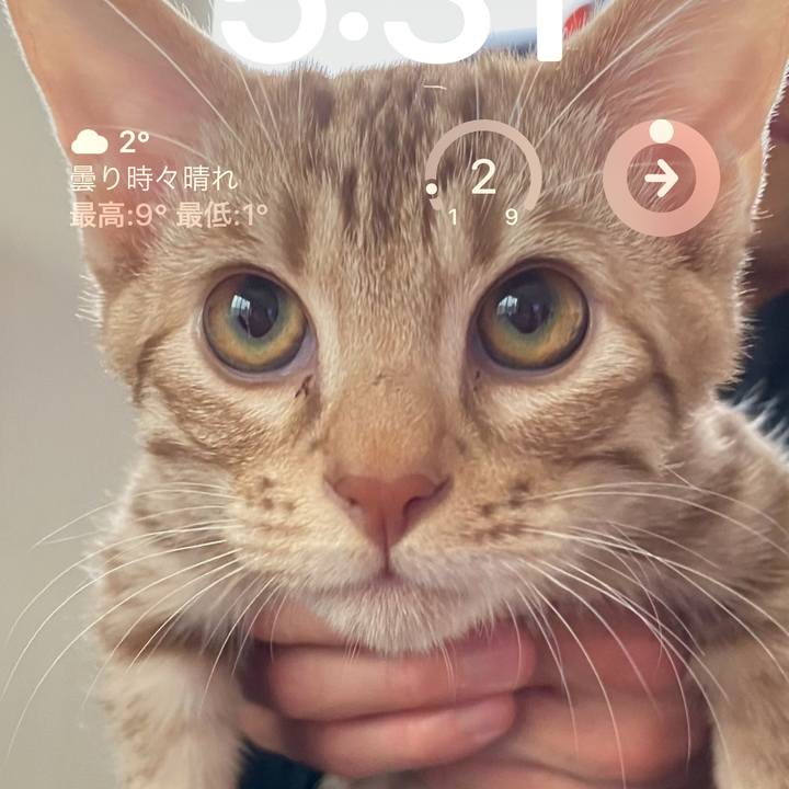 A6c01f10 1f9d 467a 8c80 d68057529e66 1675288461816