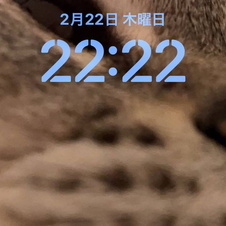 A6c03dfb f935 425a 9cab fcf15b07b21f 1708608617299