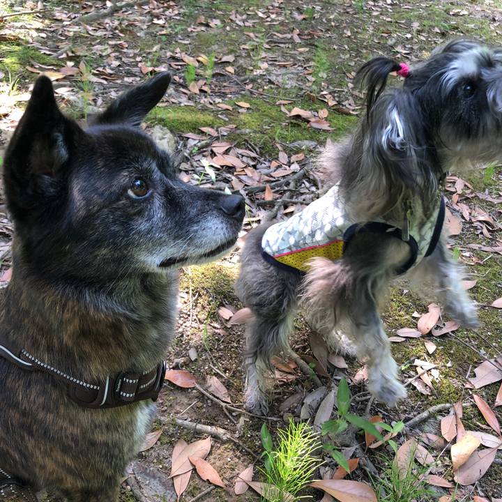 A6c042e7 09e2 496c 9672 013d2dc45f81 1628807625829