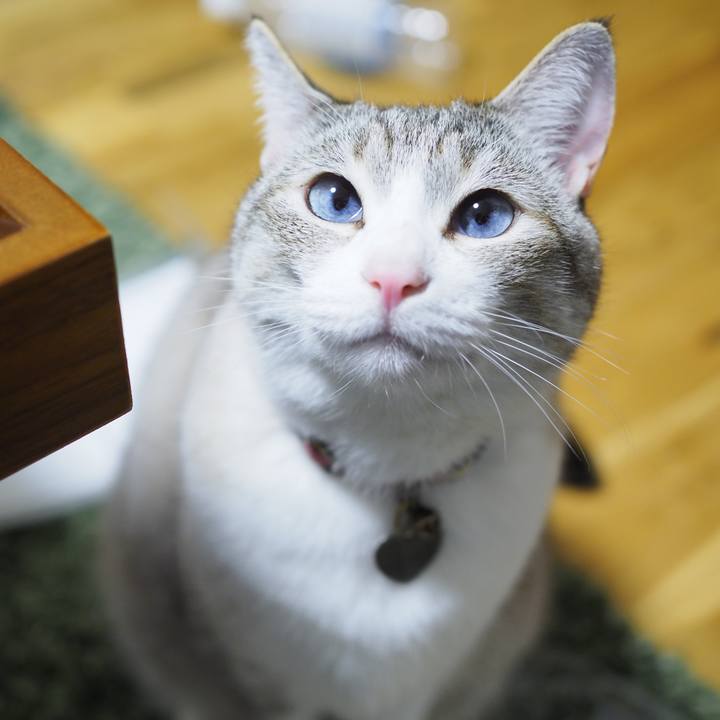 A6c052d6 59ab 431e 8b7d a59a67a8e7b2 1621341850580