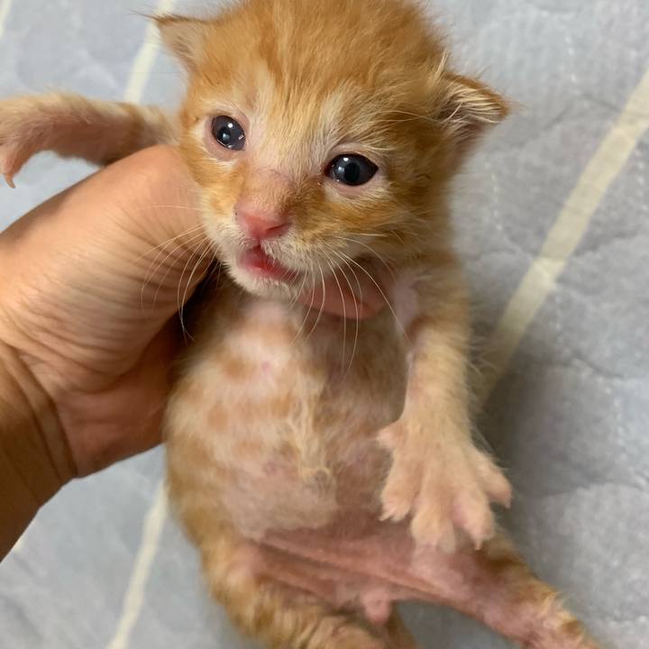 A6c08a73 fc31 4644 bb2a 297087dfdfbd 1569127013511