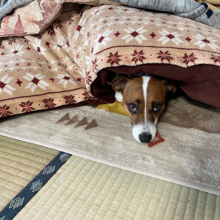 A6c09060 c747 4595 a1ae f96a2f54a798 1645609326172