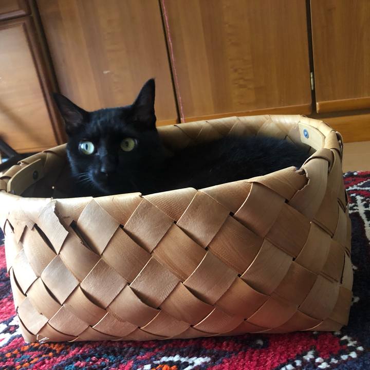 A6c099a5 3d02 435e 8428 84c4730d04ef 1595374831974