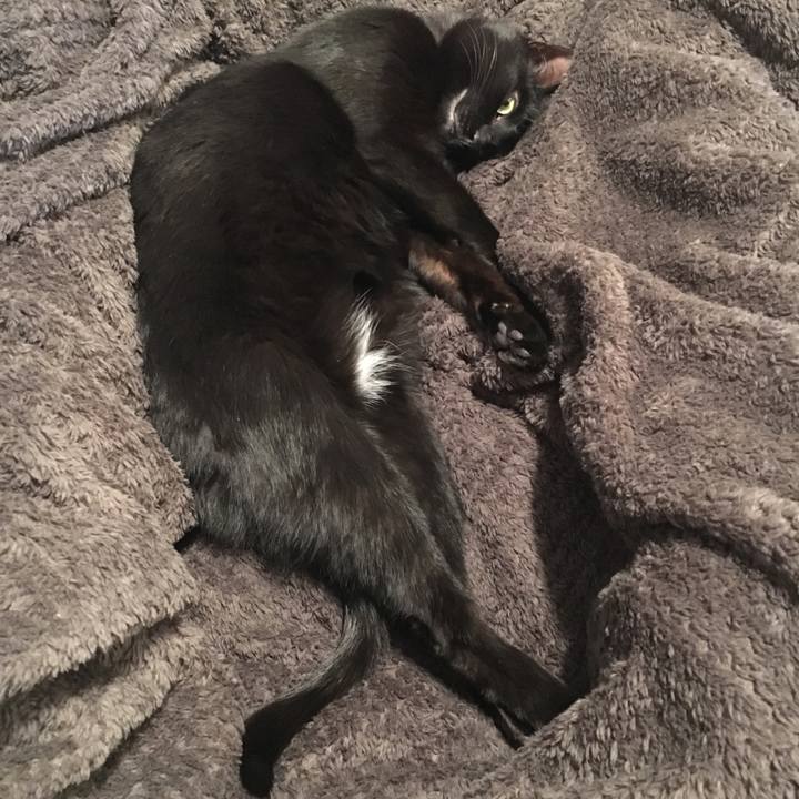 A6c099ff 5b29 4c43 8ea2 fd309196b926 1518430874961