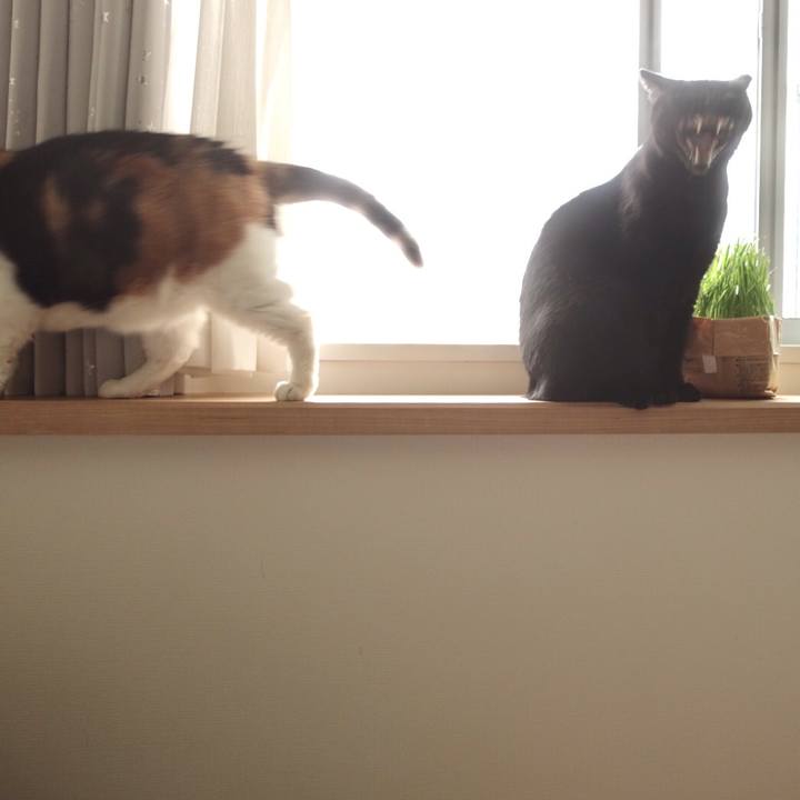 A6c0af20 4a8a 4ff5 b38d 3c2016e80cdb 1559803927457