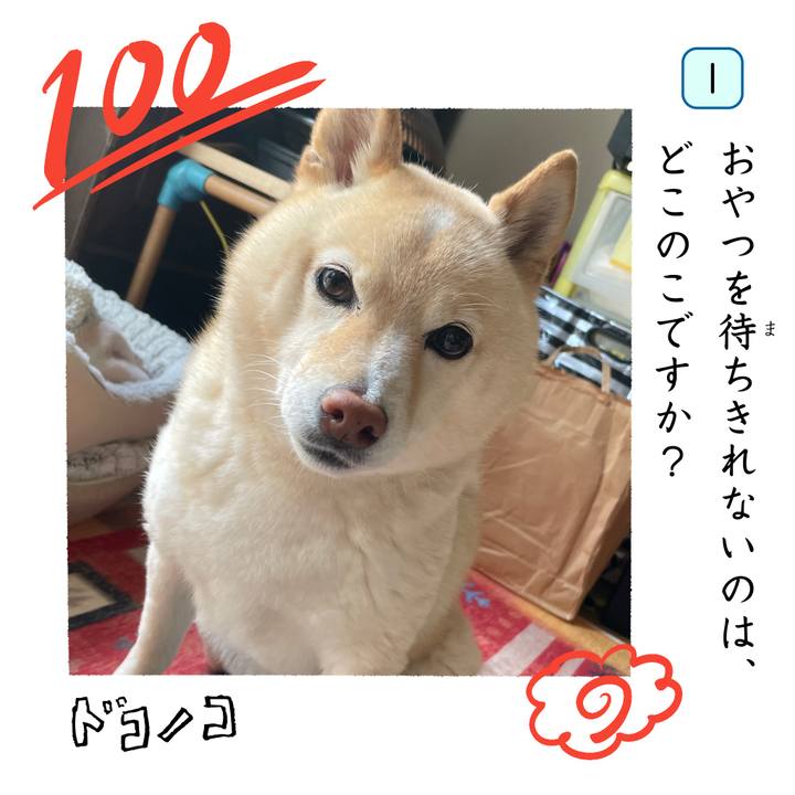 A6c0b287 bb52 4aff 86b2 79c3c14ee2cc 1744436262136