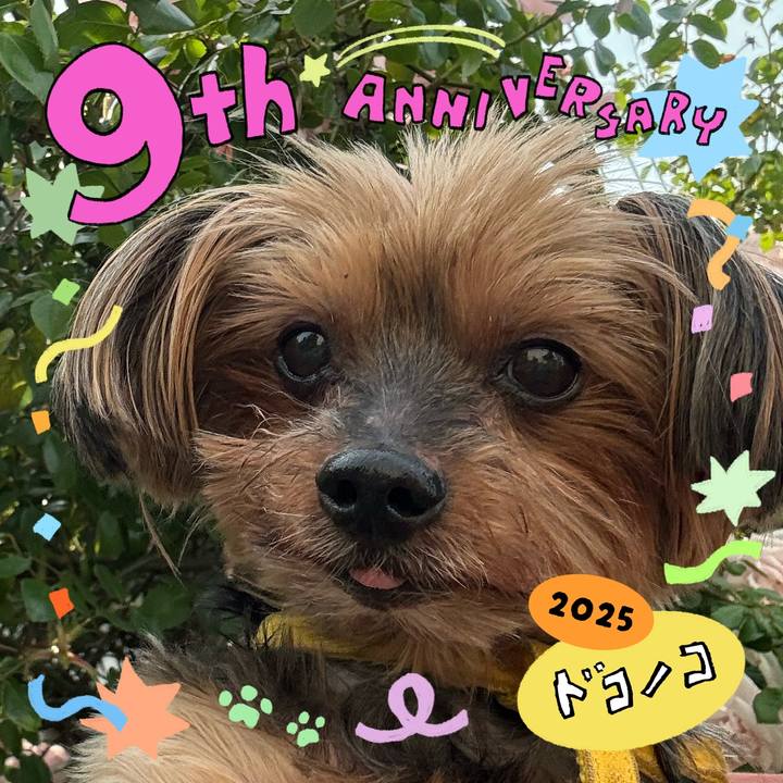 A6c0c110 970b 4bcc 82a0 f67533777ee3 1749093182339