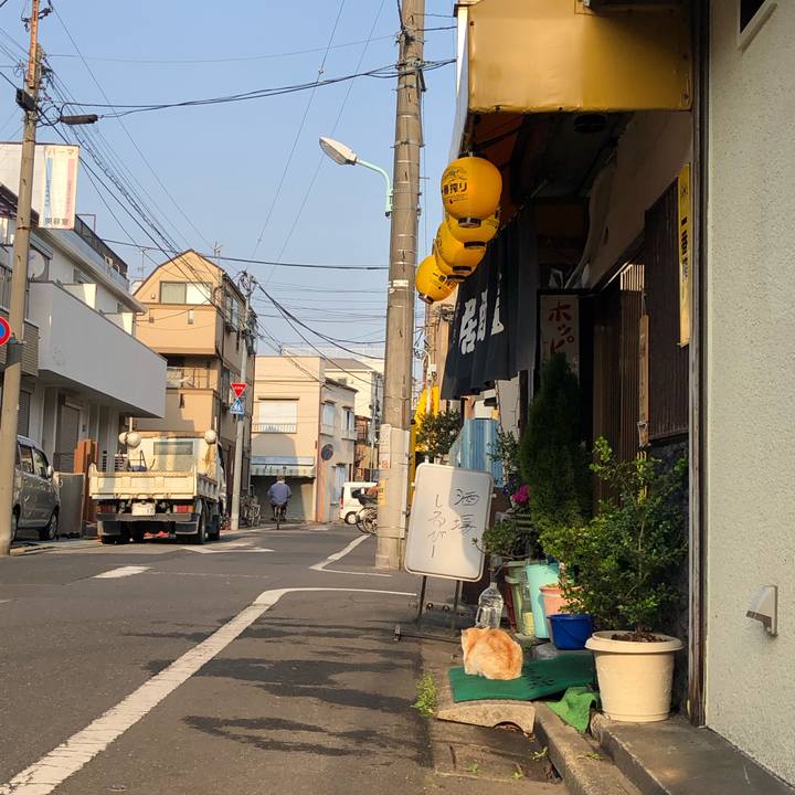 A6c0c5ab f484 4760 b9db 7889f472773c 1553678117502