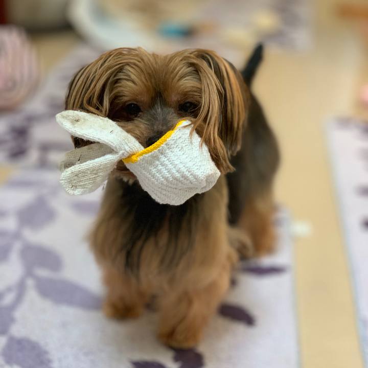 A6c0db96 8938 41df 8bbf 643300d409cd 1568258097545