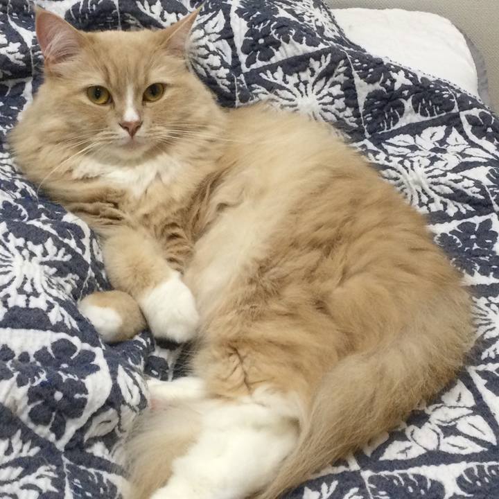 A6c0dfe6 fc53 4690 a450 d17dc9948c5d 1647441176323