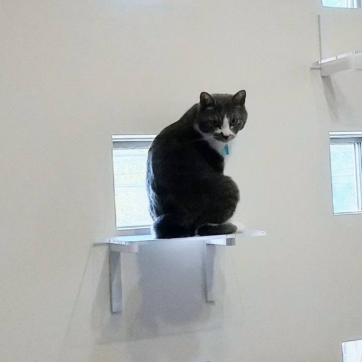 A6c16a77 8e0a 4840 a47e 0996f1493c15 1650091750997