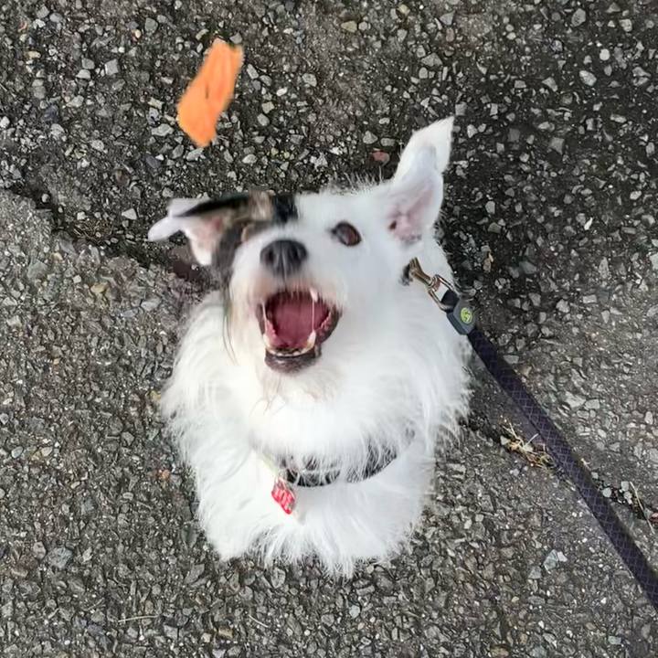 A6c16df8 8641 48b6 a52a 60273df656dc 1691708152801